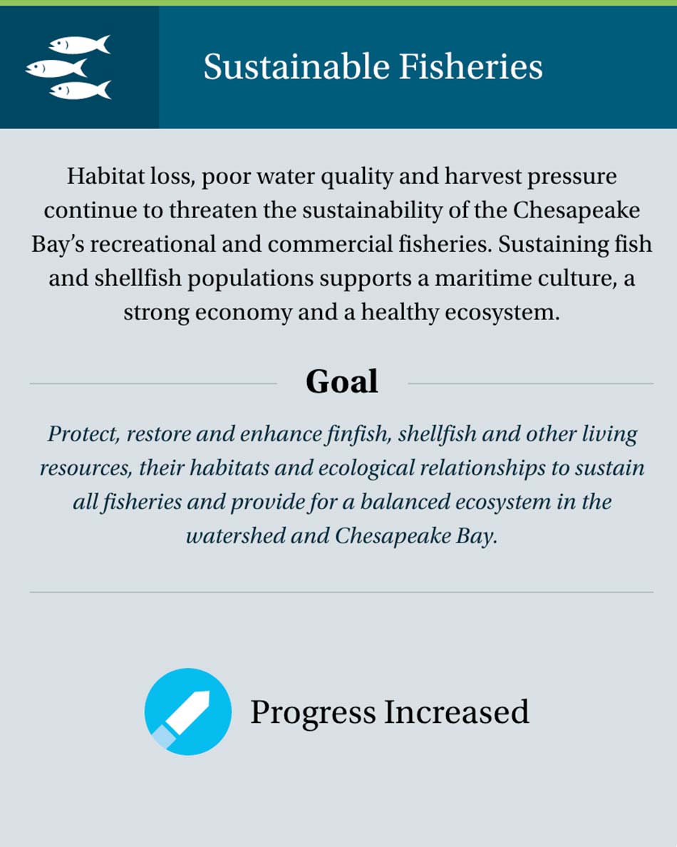 Chesapeake Progress website