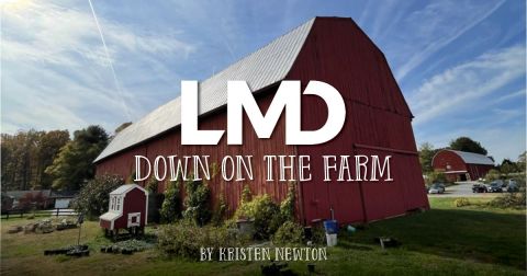 LMD Down on the Farm!